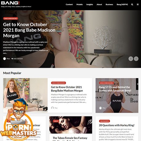 Bang Blog