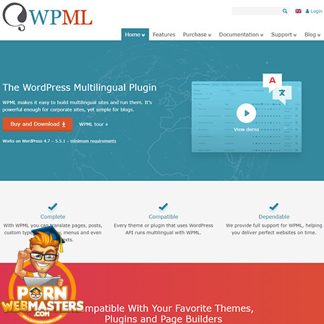 WPML