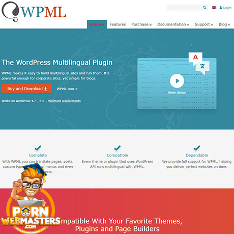 WPML Translation Services